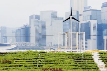 Ledenbijeenkomst #2 2021- Nutriënten en energie